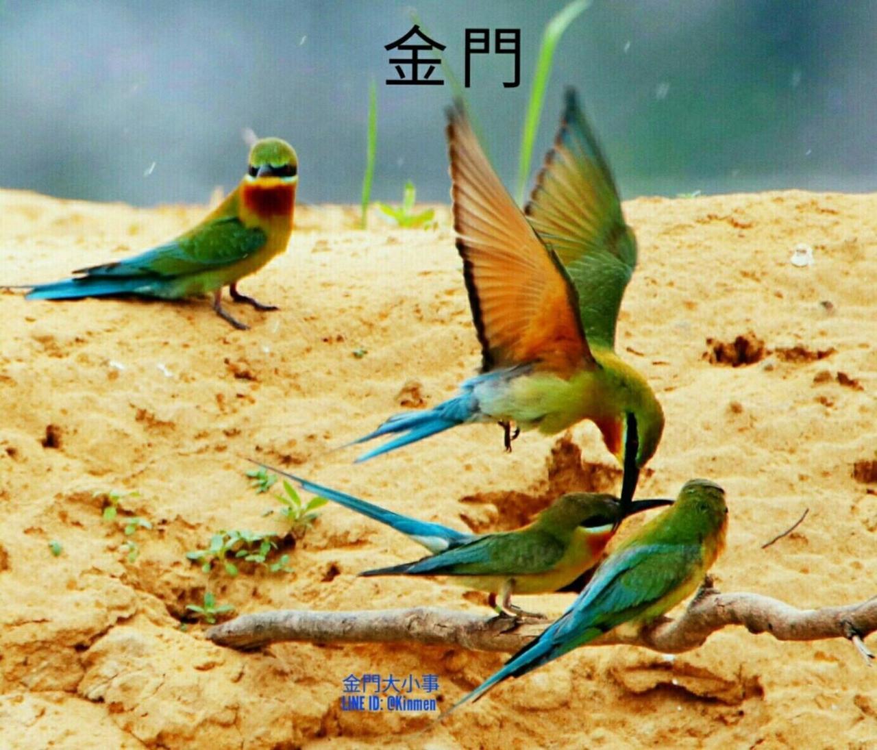 Starry Sky Inn Jinhu Buitenkant foto